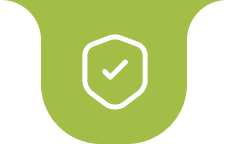 تحویل نخل خلیج فارس