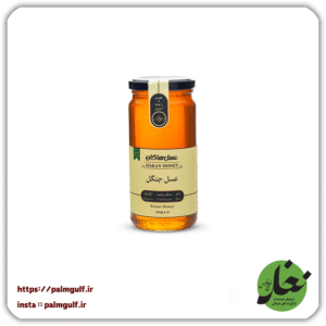 عسل جنگل 600 گرمی هاکان