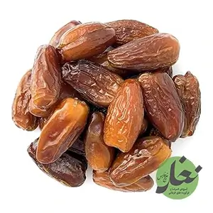 خرما دگلت نور