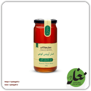 عسل آویشن کوهی 600 گرمی هاکان