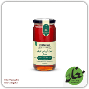 عسل آویشن کوهی ممتاز 600 گرمی هاکان