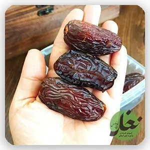 خرما مدجول ( مجول)