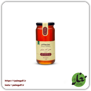 عسل کنار ایرانی (سدر) 600 گرمی هاکان
